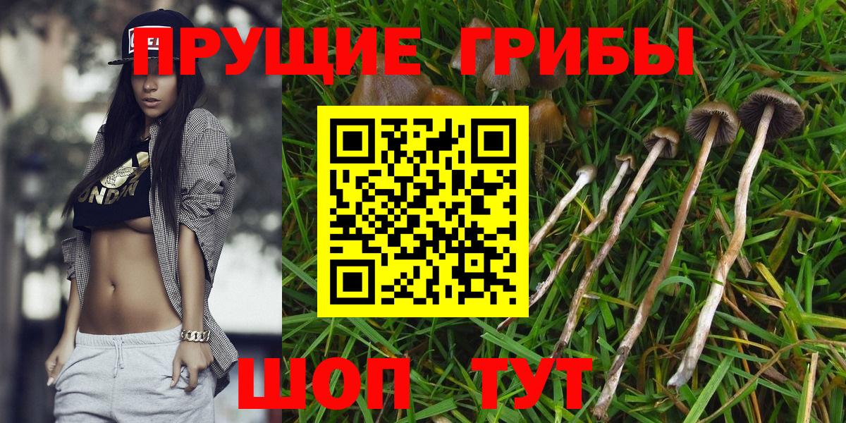 Можайск  Псилоцибиновые грибы мицелий  Вход с VPN  цены наркотик  Псилоцибиновые грибы ЛСД 