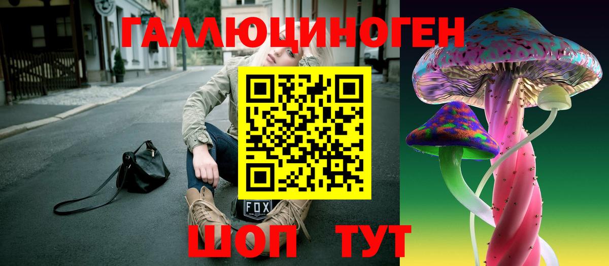 Псилоцибиновые грибы Cubensis Можайск